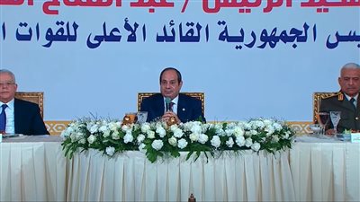 الرئيس السيسي: نتحرك إلى الأمام بخطوات مدروسة في جميع المجالات