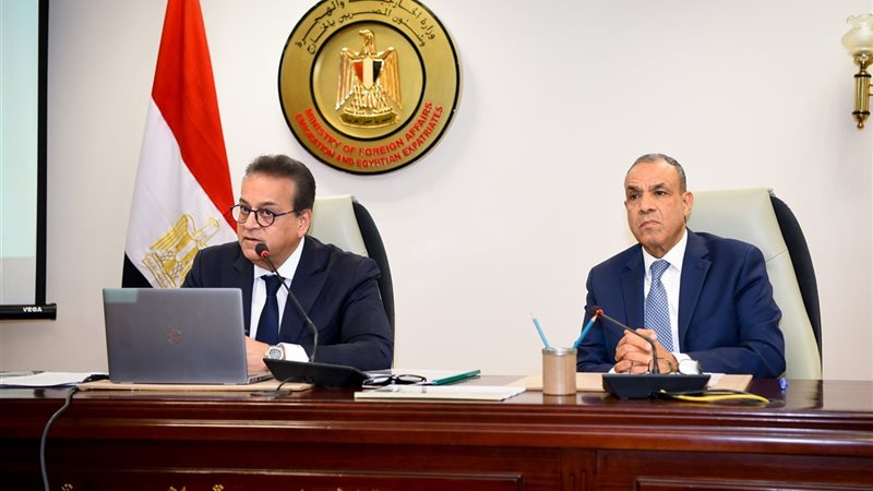وزير الخارجية والدكتور خالد عبد الغفار 