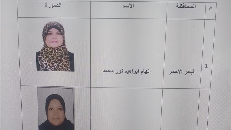 الام المثالية 