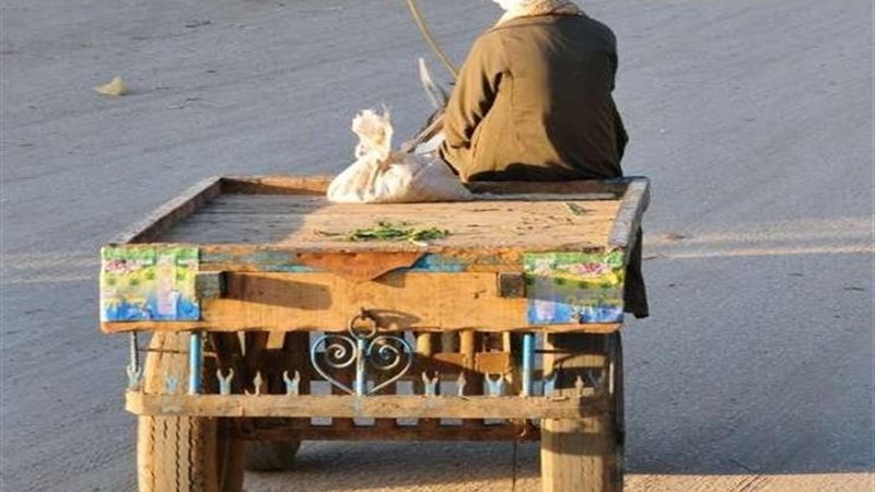 عربة كارو - أرشيفية 