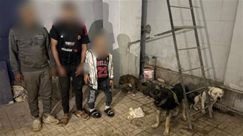 الداخلية تكشف ملابسات فيديو الكلاب الشرسة بالقليوبية