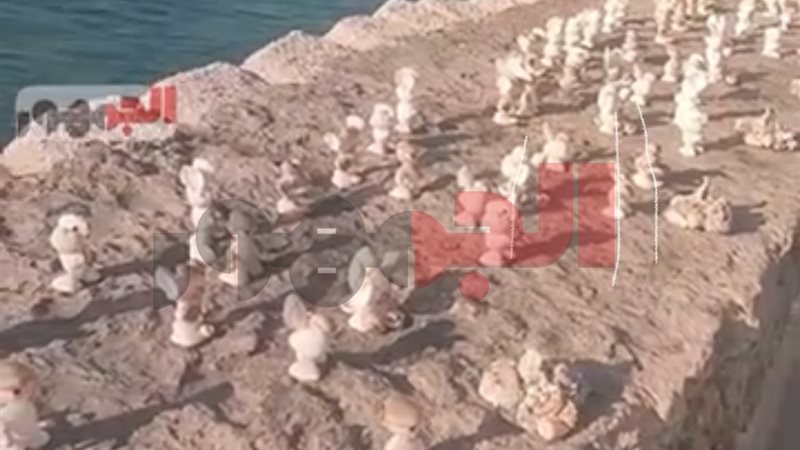  المصنوعة من أصداف البحر