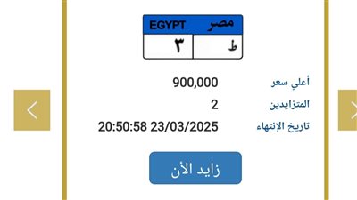 ط - 3، لوحة سيارة مميزة سعرها مليون جنيه على بوابة مرور مصر