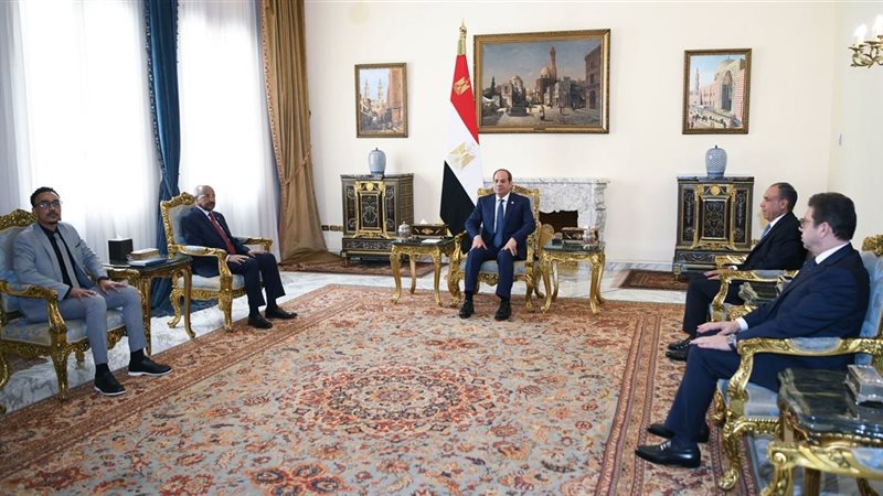 السيسي
