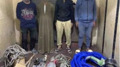 عصابة التنقيب عن الآثار تسقط في قبضة رجال الشرطة بمنشأة ناصر