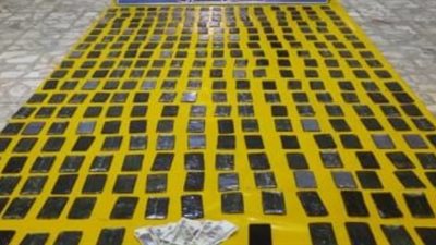 بقيمة 23 مليون جنيه، سقوط تجار الكيف في الإسكندرية والبحيرة  