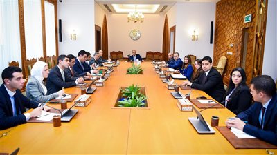 وزير الخارجية: تحقيق أمن المنطقة العربية محدد رئيس لأمن مصر القومي