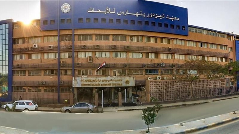 التعليم العالي 