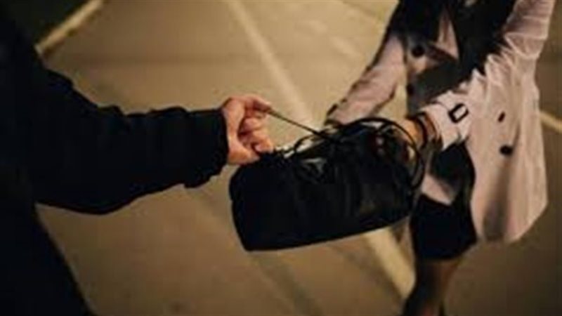 سرقة حقيبة أرشيفية 