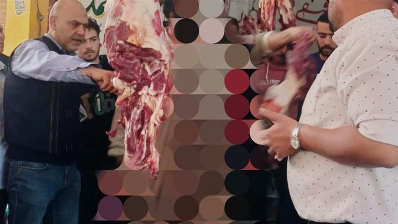 ضبط 2 طن لحوم ودواجن وأسماك غير صالحة للاستهلاك بالمنوفية