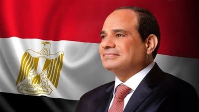 الرئيس السيسي يجدد تعيين نائبين لرئيس هيئة المنطقة الاقتصادية لقناة السويس