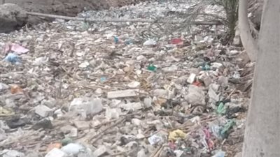 أهالي قرية الداودية بالمنيا يستغيثون بالمسؤولين: «قربنا من الموت»