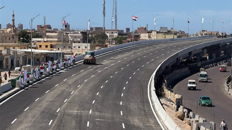 كوبري العامرية