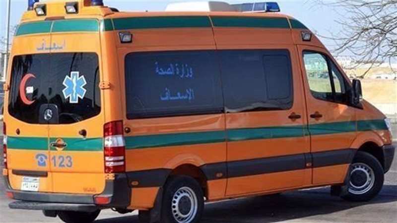 ارشيفية