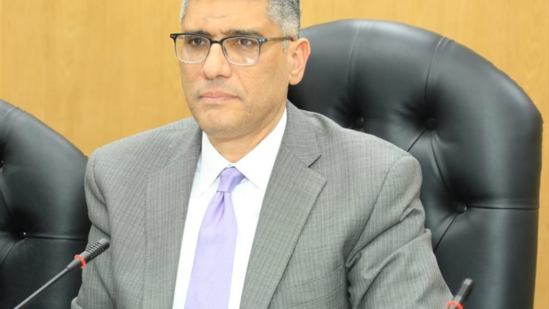 محافظ الجيزة