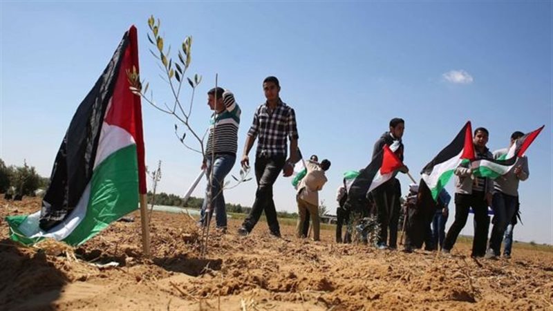 فلسطين
