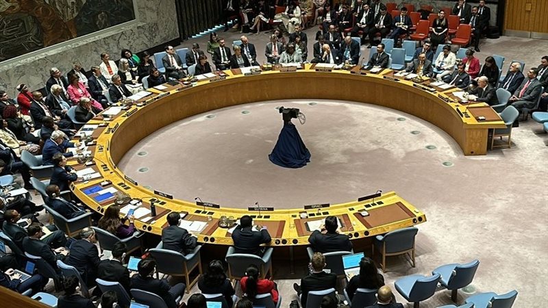 مجلس الأمن الدولى ـ أرشيفية 