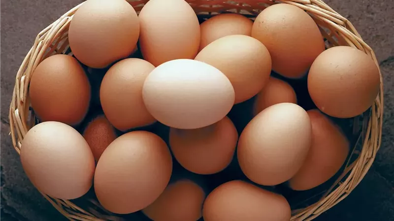 أسعار البيض 