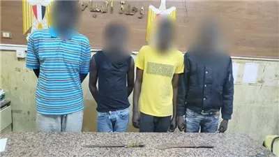 معاكسة فتاة تشعل معركة «أجنبية» على أرض عين شمس