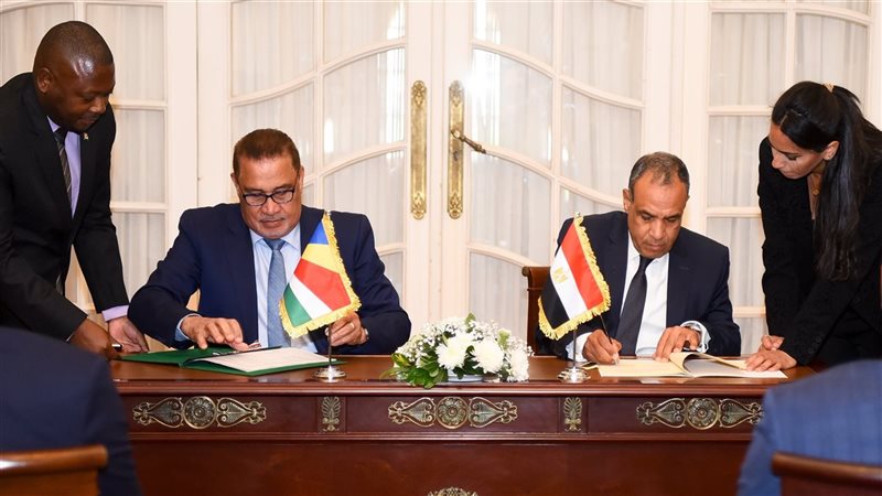 وزير الخارجية الدكتور بدر عبد العاطي
