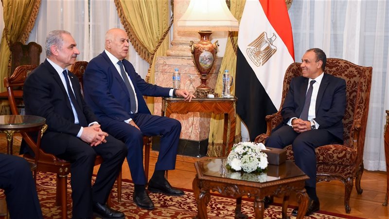 وزير الخارجية الدكتور بدر عبد العاطي