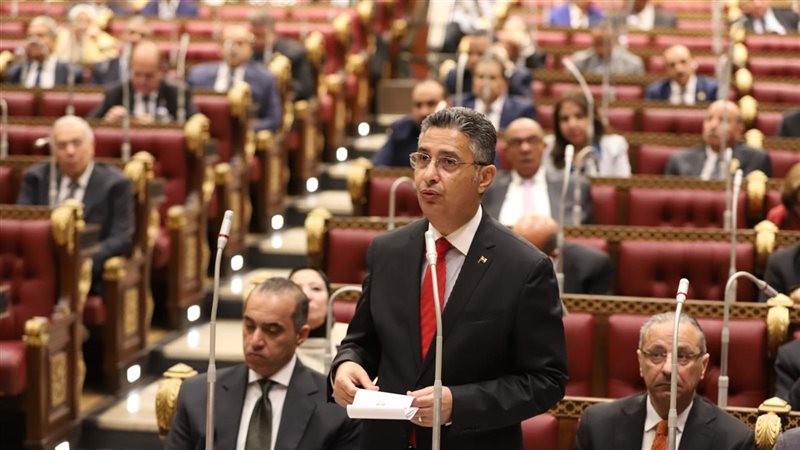 وزير التموين أمام مجلس الشيوخ