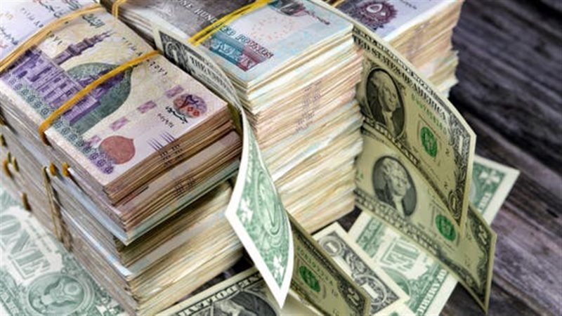 الدولار مقابل الجنيه المصري 