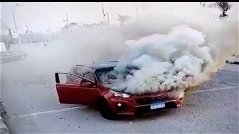 ارشيفية