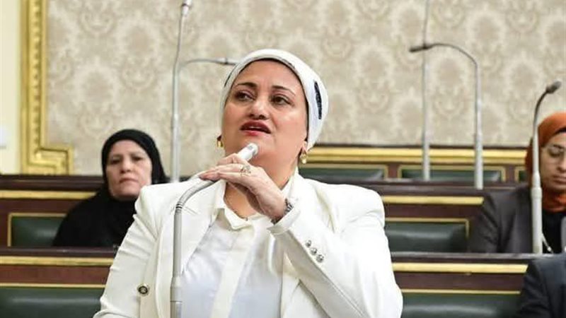 سناء السعيد عضو مجلس النواب