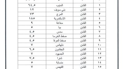 محافظ بني سويف يعتمد التعريفة الجديدة للآجرة بزيادة 15% على جميع الخطوط