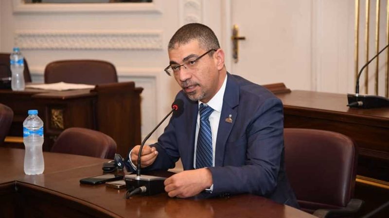 محمد البدري، عضو لجنة الصحة بمجلس الشيوخ