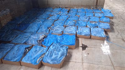 التحفظ على 15 طن أسماك مملحة ورنجة غير صالحة بالمنوفية