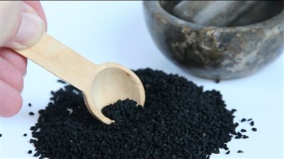 حبة البركة.. صحة للجسم من الرأس حتى القدمين وتحارب الأمراض وتعزز المناعة
