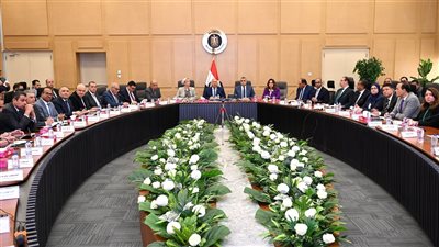 المجموعة الوزارية للتنمية الصناعية تبحث استغلال الباجاس كوقود بديلا  للغاز
