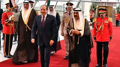النواب: جولة السيسي الخليجية تدعم الخطة العربية لإعادة إعمار غزة دون تهجير