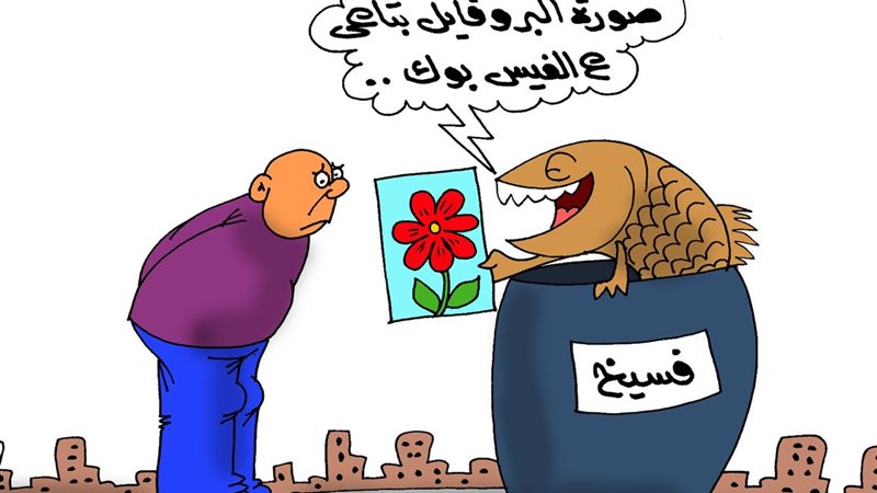 كاريكتير موقع الجمهور