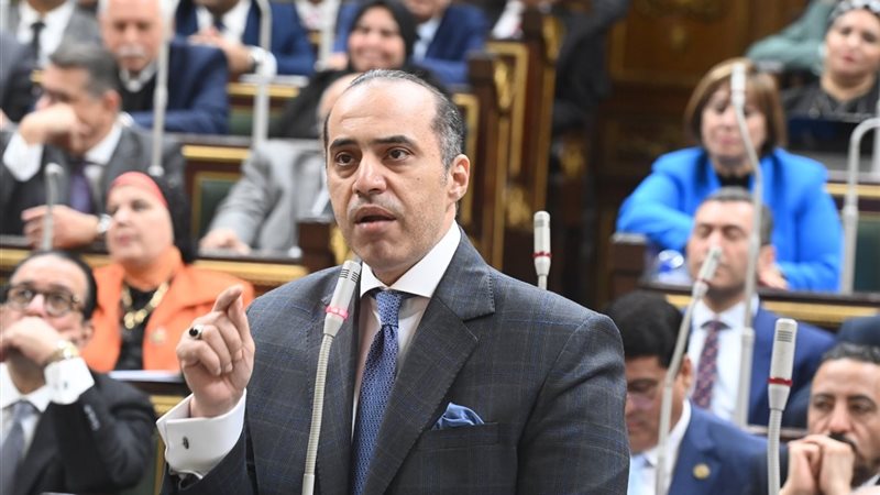 المستشار محمود فوزي 