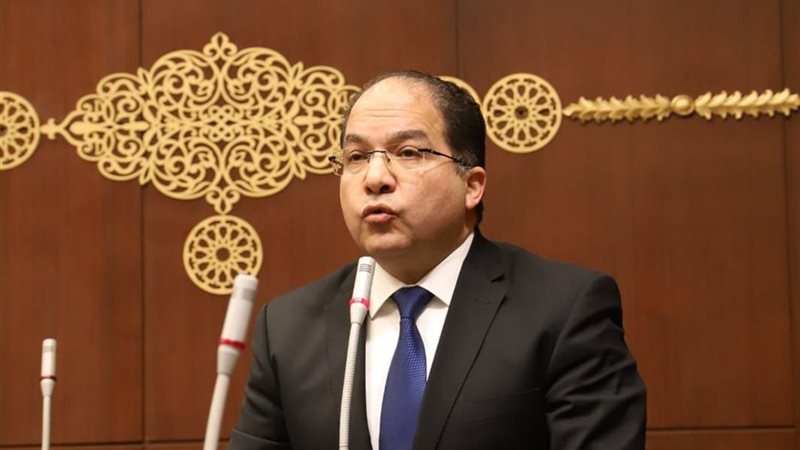 النائب عادل لمعي 