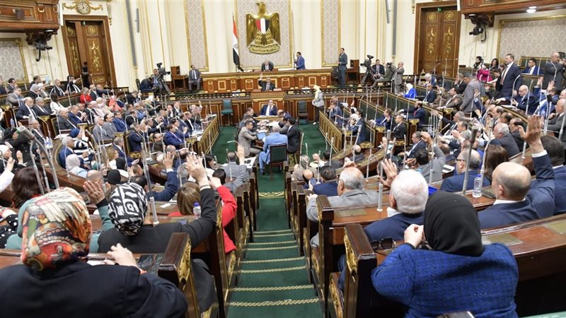 وزير المالية أمام مجلس النواب