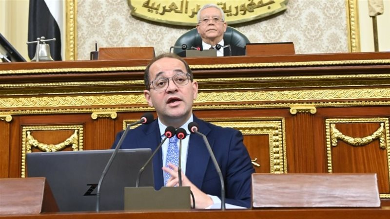 وزير المالية أمام مجلس النواب