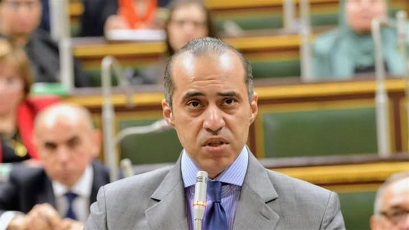 المستشار محمود فوزي 