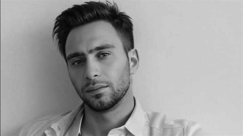 حسام حبيب