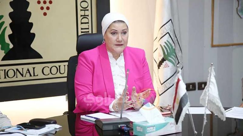المجلس القومي للطفولة والأمومة