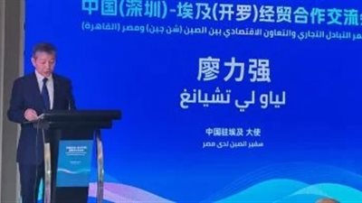 السفير الصيني: منطقة التعاون الاقتصادي جذبت أكثر من 180 شركة