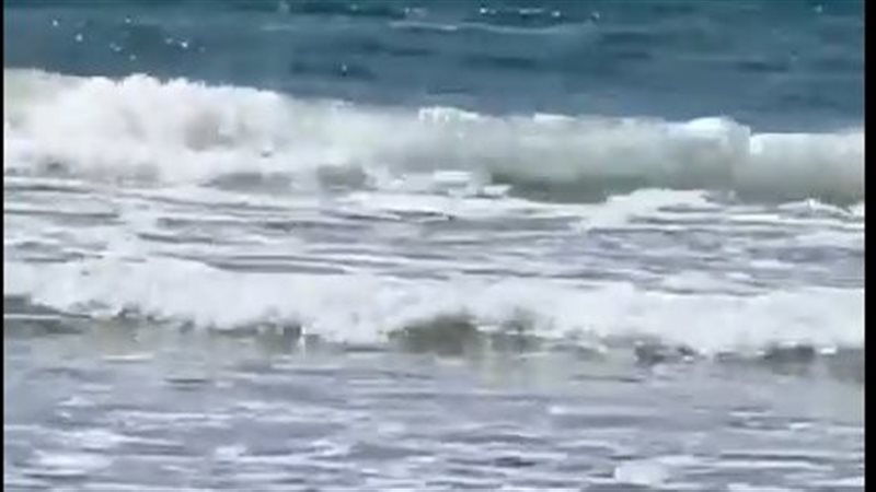 سمكة قرش تهاجم إسرائيلي