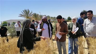 الدلتا الجديدة واستصلاح الأراضي.. مشروع قومي يعيد رسم خريطة الأمن الغذائي