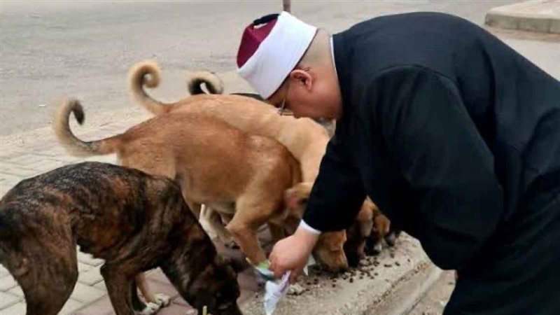 صاحب فيديو إطعام الكلاب