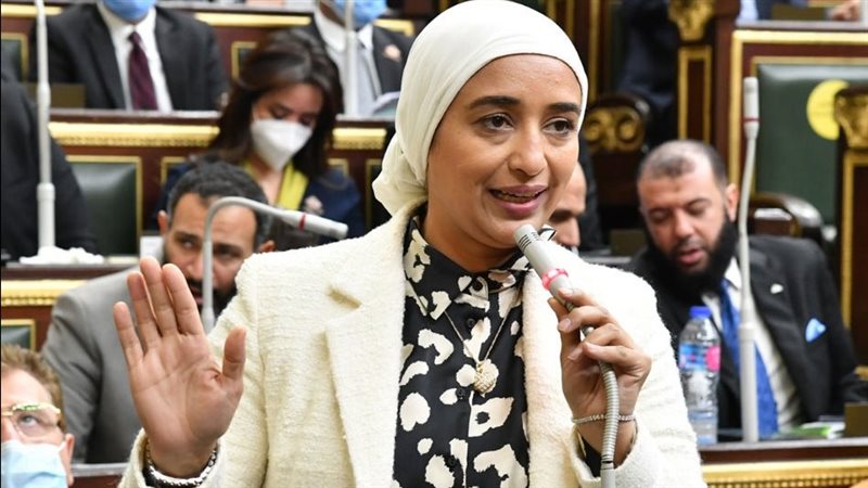النائبة أميرة أبوشقة