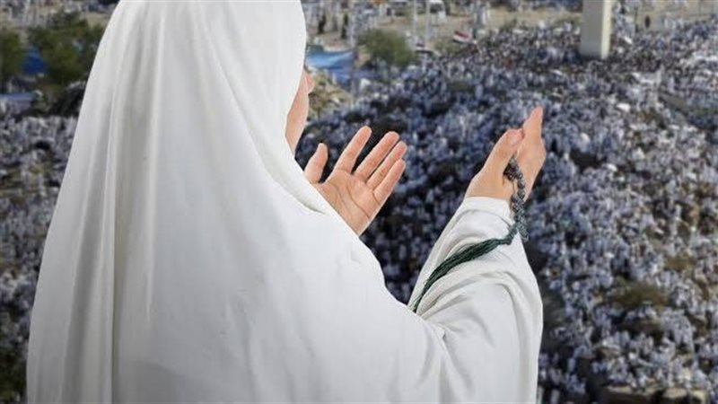 ارشيفية
