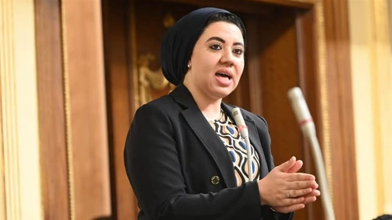 النائبة أميرة صابر